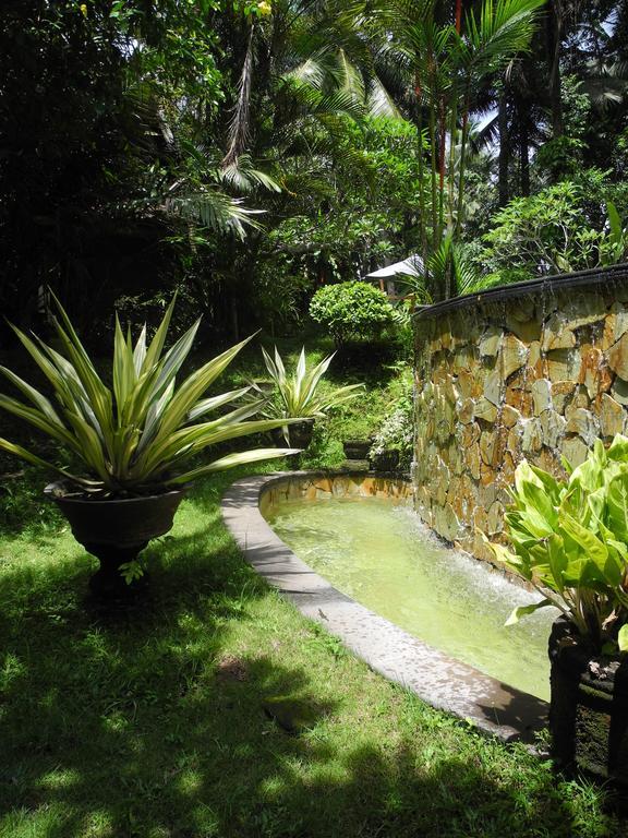 Villa Jineng Ubud By Basma Groups Екстериор снимка